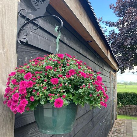 De Barg Villa Vinkenbuurt ภายนอก รูปภาพ
