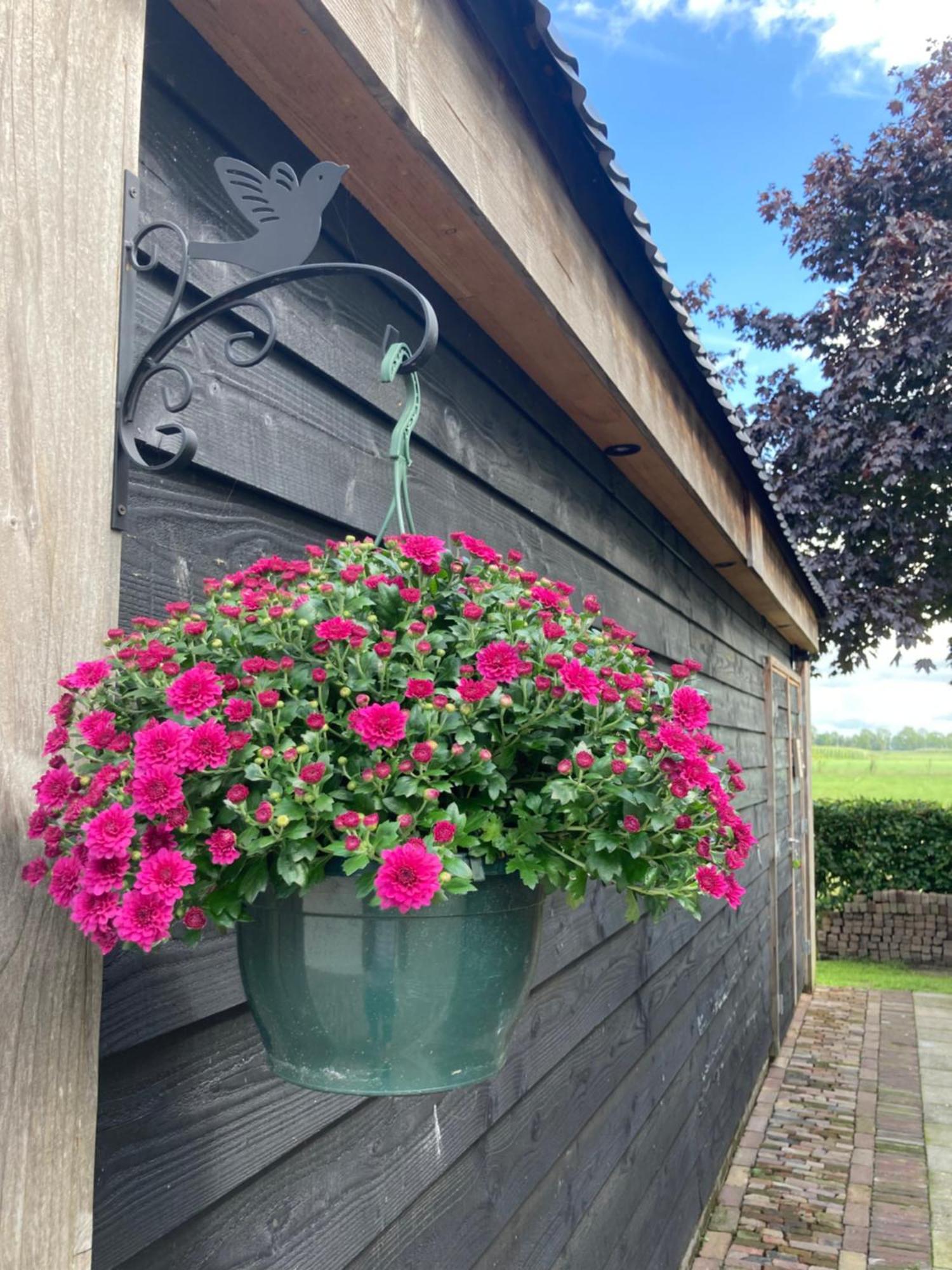 De Barg Villa Vinkenbuurt ภายนอก รูปภาพ